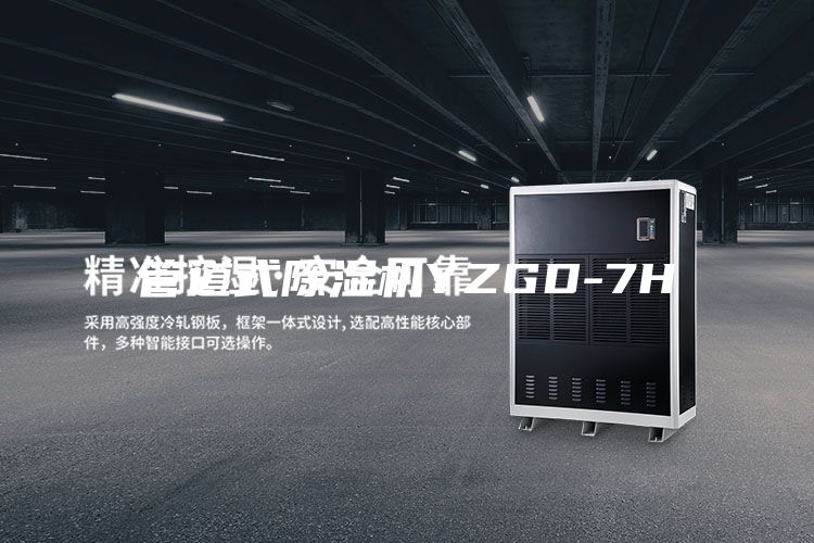管道式除湿机YZGD-7H