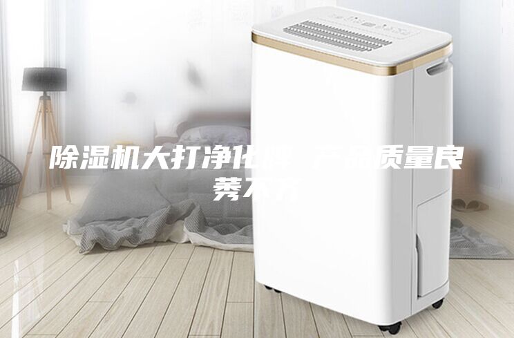 除湿机大打净化牌 产品质量良莠不齐