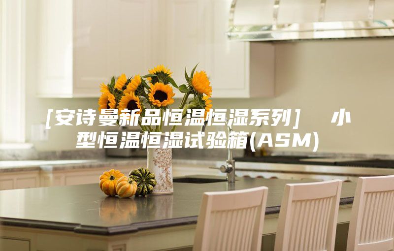 [安诗曼新品恒温恒湿系列]  小型恒温恒湿试验箱(ASM)