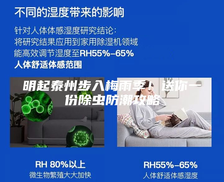 明起泰州步入梅雨季！送你一份除虫防潮攻略