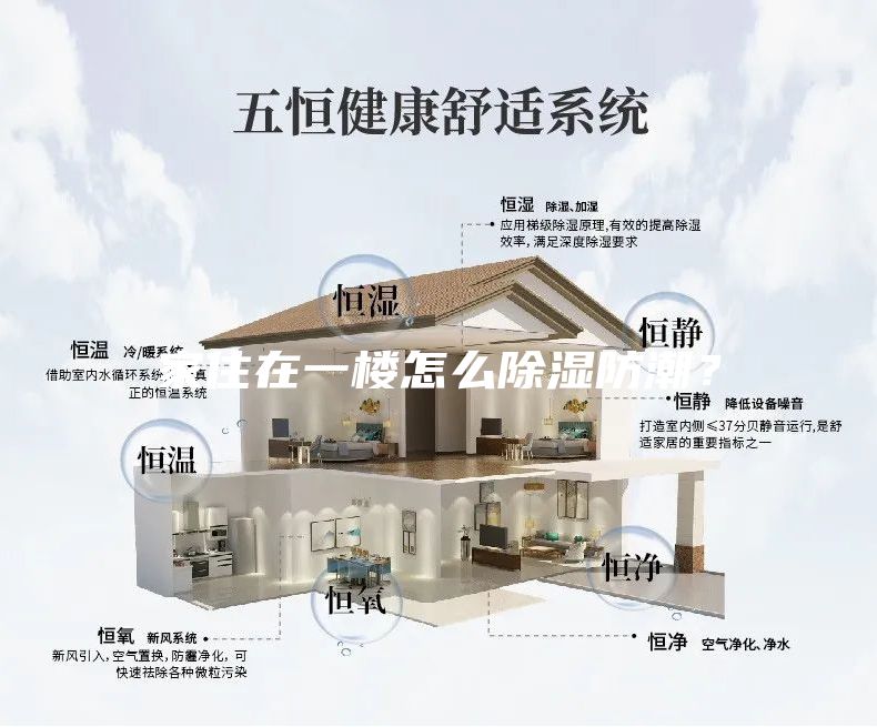 家住在一楼怎么除湿防潮？