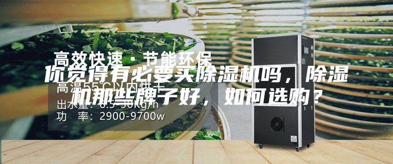 你觉得有必要买除湿机吗，除湿机那些牌子好，如何选购？