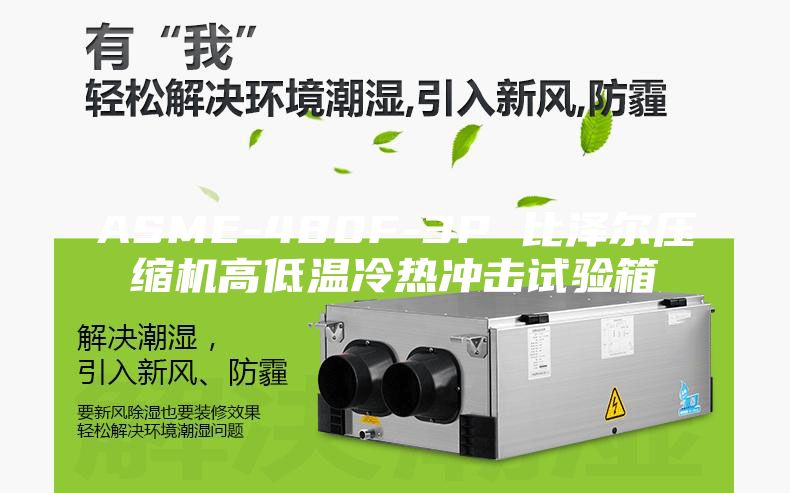 ASME-480F-3P 比泽尔压缩机高低温冷热冲击试验箱
