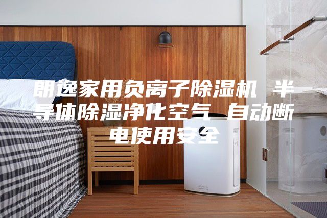 朗逸家用负离子除湿机 半导体除湿净化空气 自动断电使用安全