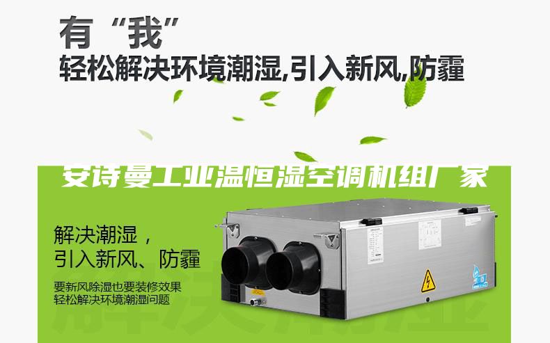 安诗曼工业温恒湿空调机组厂家