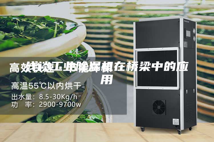 浅谈工业除湿机在桥梁中的应用