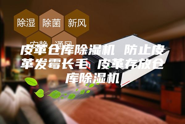 皮革仓库除湿机 防止皮革发霉长毛 皮革存放仓库除湿机