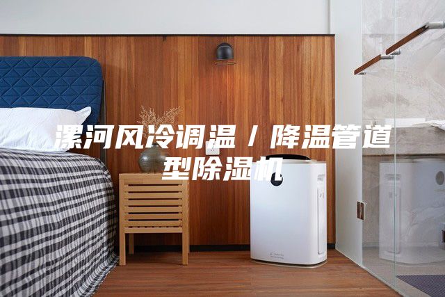 漯河风冷调温／降温管道型除湿机