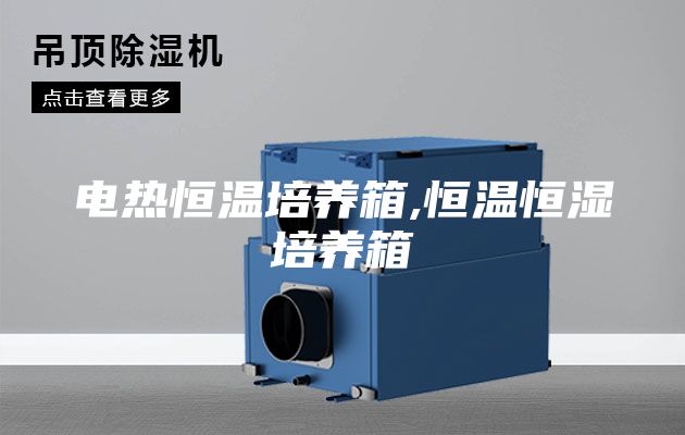 电热恒温培养箱,恒温恒湿培养箱