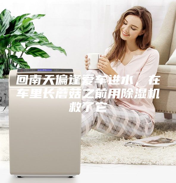 回南天偏逢爱车进水，在车里长蘑菇之前用除湿机救了它