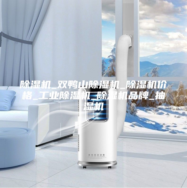 除湿机_双鸭山除湿机_除湿机价格_工业除湿机_除湿机品牌_抽湿机