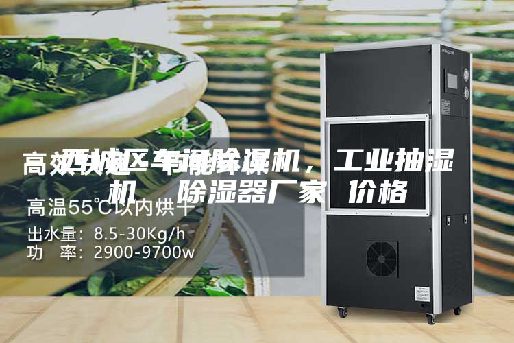 西城区车间除湿机，工业抽湿机  除湿器厂家 价格