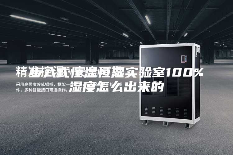 步入式恒温恒湿实验室100%湿度怎么出来的