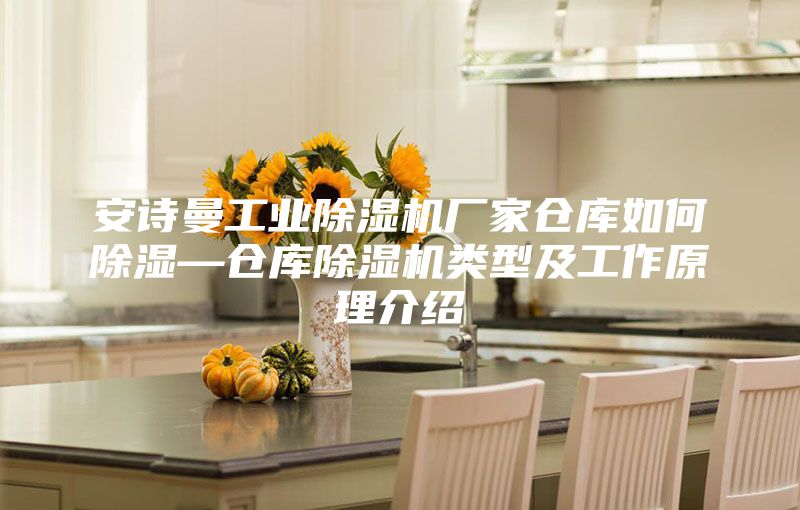 安诗曼工业除湿机厂家仓库如何除湿—仓库除湿机类型及工作原理介绍