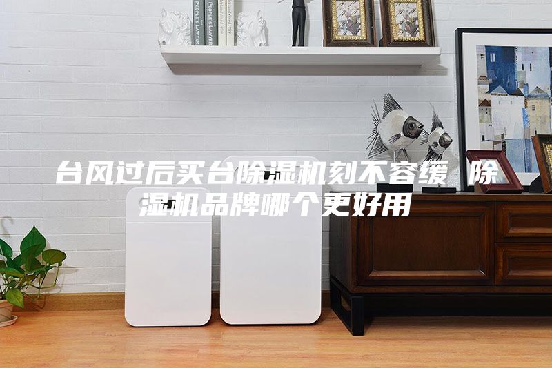 台风过后买台除湿机刻不容缓 除湿机品牌哪个更好用