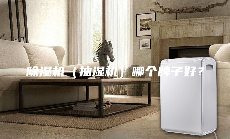 除湿机（抽湿机）哪个牌子好？