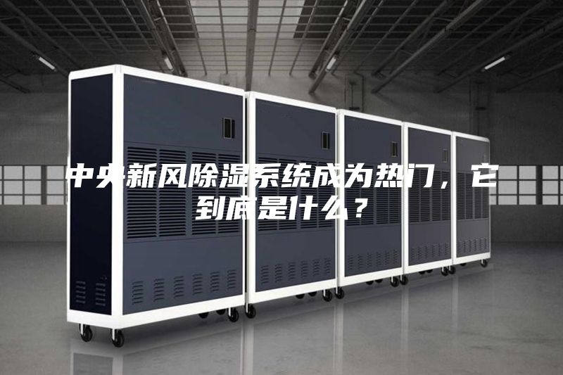 中央新风除湿系统成为热门，它到底是什么？