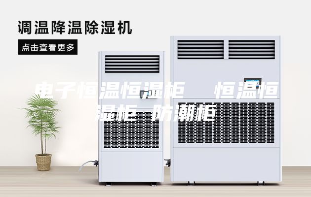 电子恒温恒湿柜  恒温恒湿柜 防潮柜