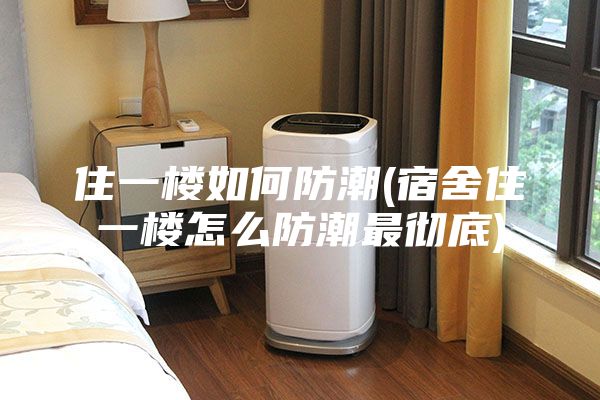 住一楼如何防潮(宿舍住一楼怎么防潮最彻底)