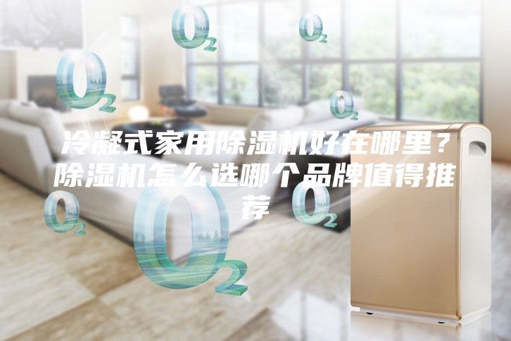 冷凝式家用除湿机好在哪里？除湿机怎么选哪个品牌值得推荐