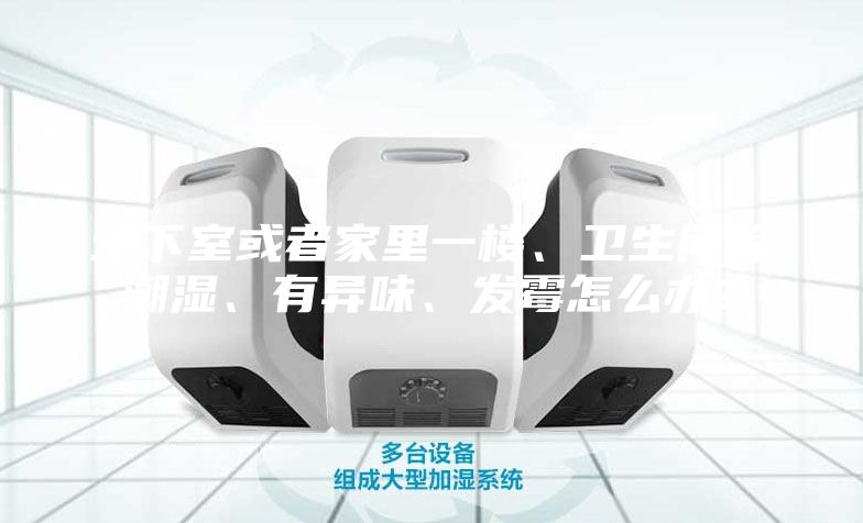 地下室或者家里一楼、卫生间等潮湿、有异味、发霉怎么办？