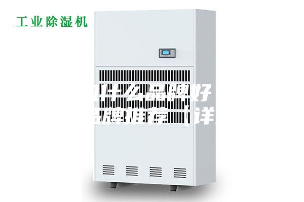 除湿机什么品牌好 除湿机品牌推荐【详解】