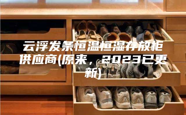 云浮发条恒温恒湿存放柜供应商(原来，2023已更新)