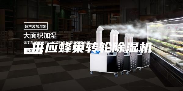 供应蜂巢转轮除湿机