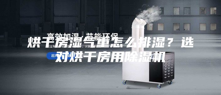 烘干房湿气重怎么排湿？选对烘干房用除湿机