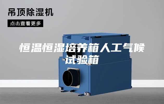 恒温恒湿培养箱人工气候试验箱