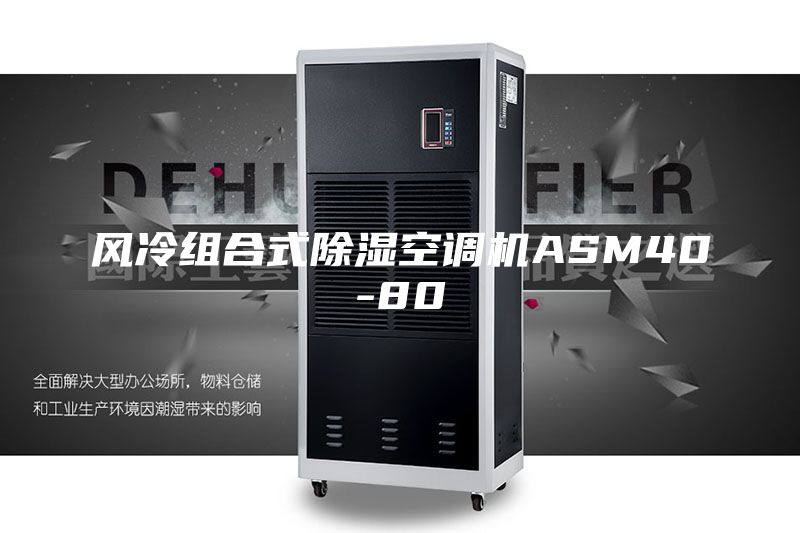 风冷组合式除湿空调机ASM40-80