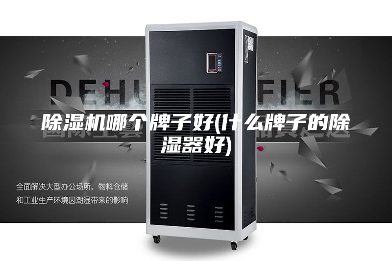 除湿机哪个牌子好(什么牌子的除湿器好)
