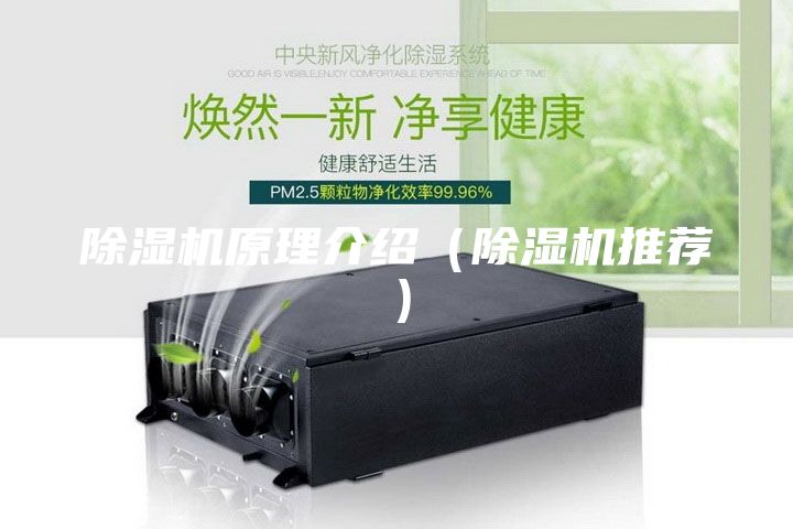 除湿机原理介绍（除湿机推荐）