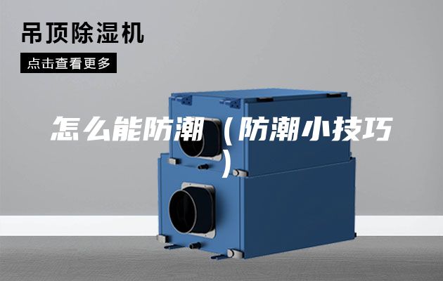 怎么能防潮（防潮小技巧）