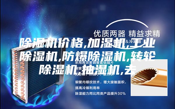 除湿机价格,加湿机,工业除湿机,防爆除湿机,转轮除湿机,抽湿机,去