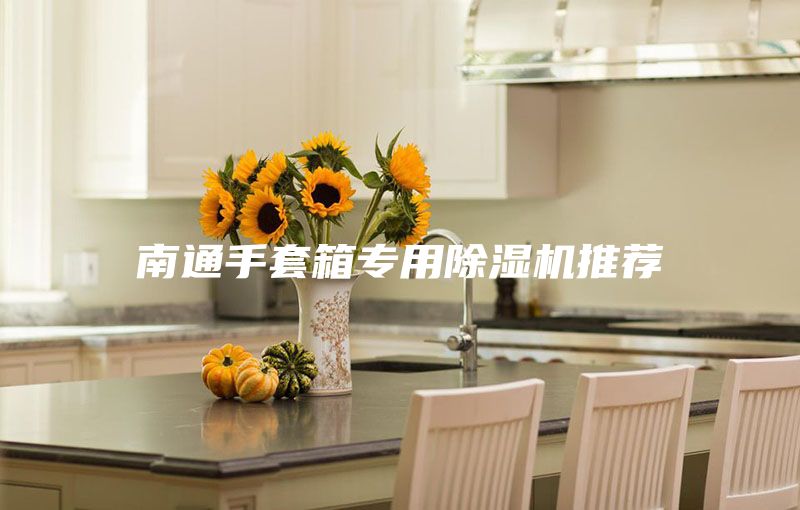 南通手套箱专用除湿机推荐