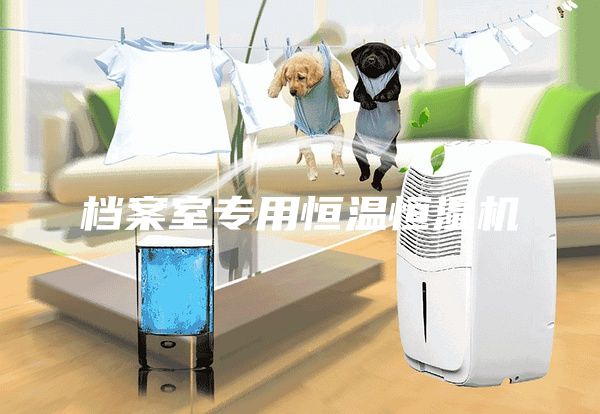 档案室专用恒温恒湿机