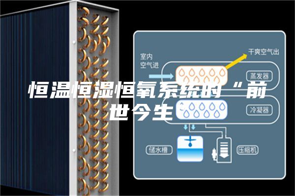 恒温恒湿恒氧系统的“前世今生”