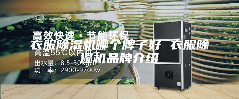 衣服除湿机哪个牌子好 衣服除湿机品牌介绍