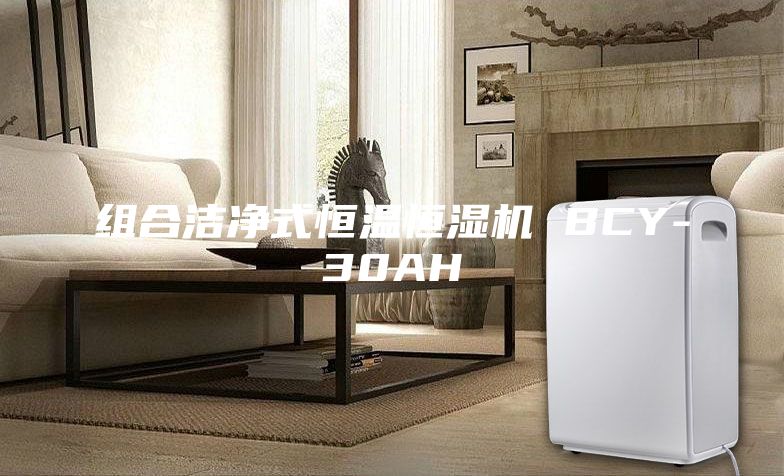 组合洁净式恒温恒湿机 BCY-30AH