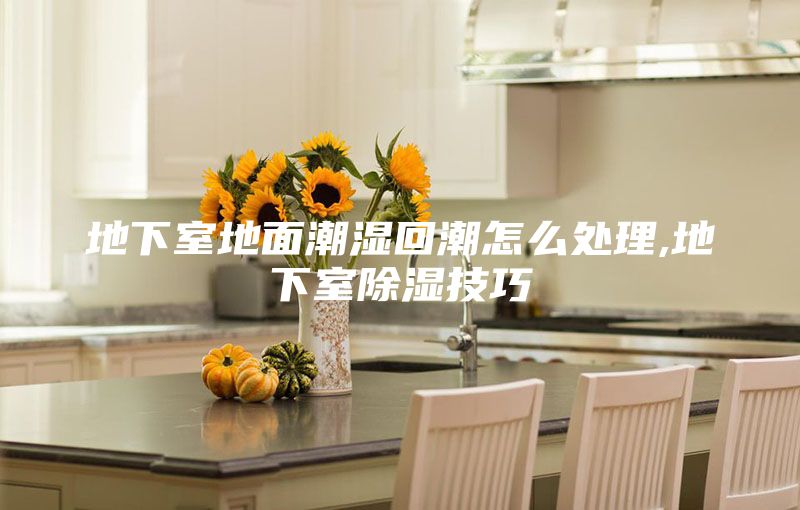 地下室地面潮湿回潮怎么处理,地下室除湿技巧