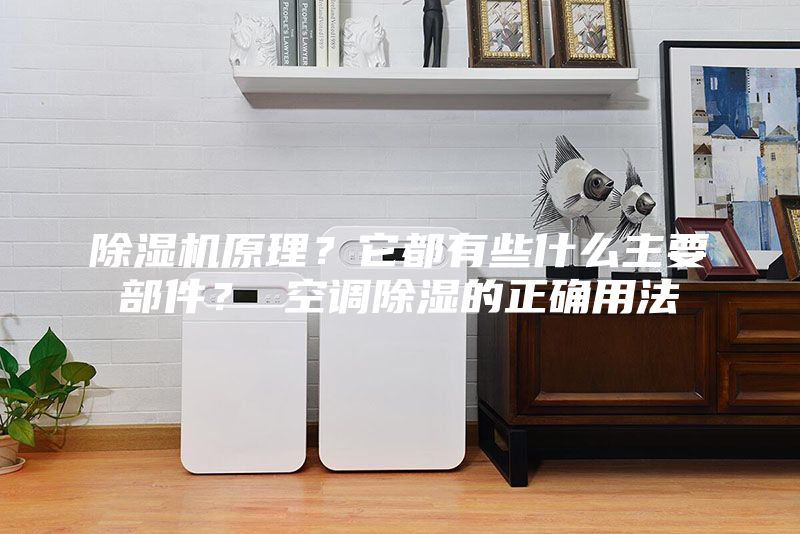 除湿机原理？它都有些什么主要部件？ 空调除湿的正确用法
