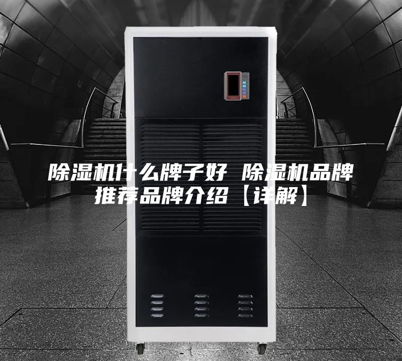 除湿机什么牌子好 除湿机品牌推荐品牌介绍【详解】