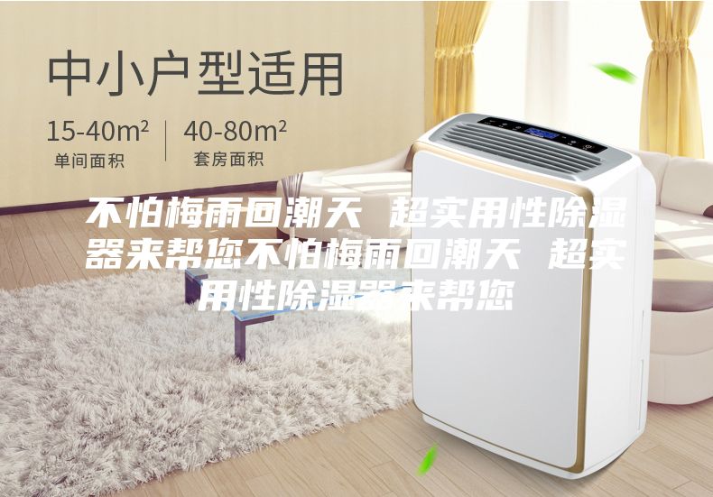 不怕梅雨回潮天 超实用性除湿器来帮您不怕梅雨回潮天 超实用性除湿器来帮您