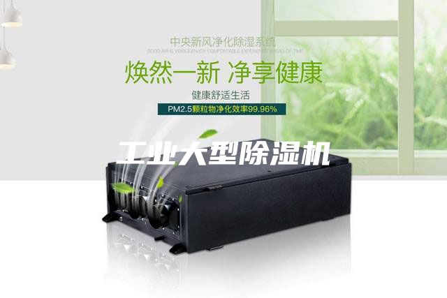 工业大型除湿机