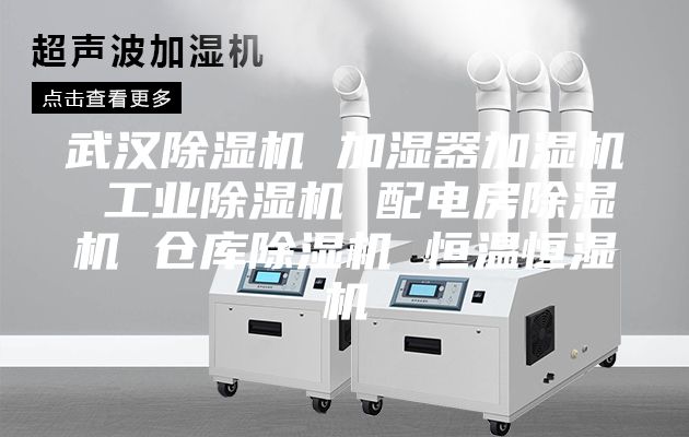 武汉除湿机 加湿器加湿机 工业除湿机 配电房除湿机 仓库除湿机 恒温恒湿机