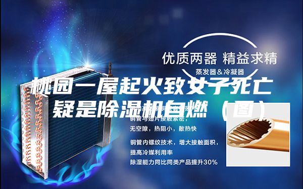 桃园一屋起火致女子死亡 疑是除湿机自燃（图）