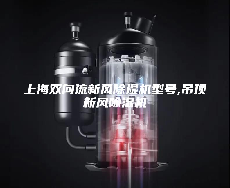 上海双向流新风除湿机型号,吊顶新风除湿机