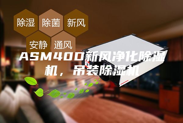 ASM40D新风净化除湿机，吊装除湿机
