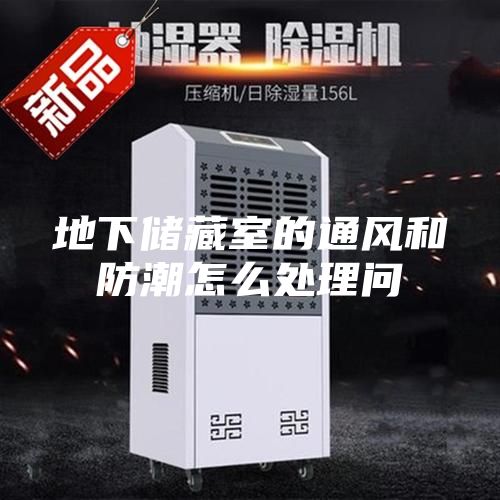 地下储藏室的通风和防潮怎么处理问